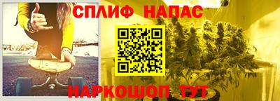 ALPHA PVP Ярославль