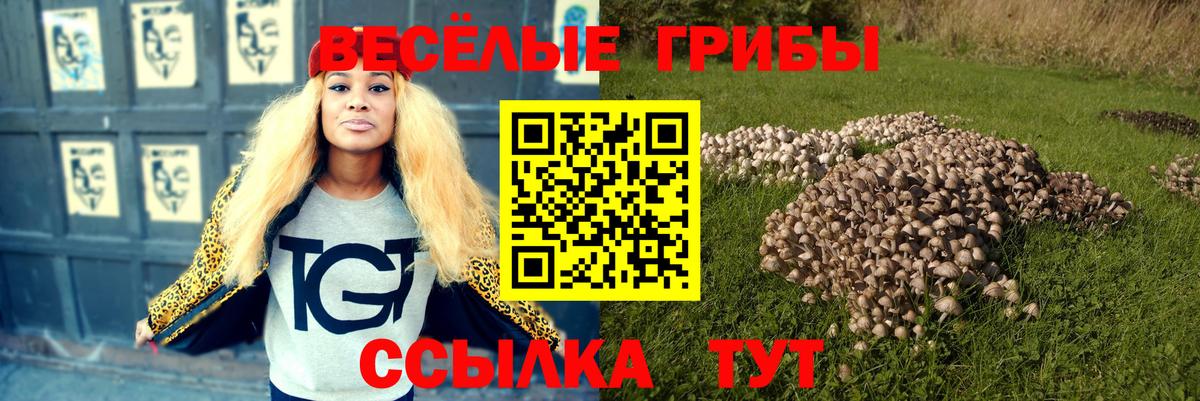 Галлюциногенные грибы мухоморы  Вход с VPN  Иваново  Галлюциногенные грибы Psilocybe 